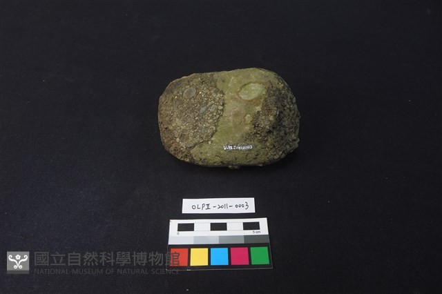 石鎚藏品圖，第2張