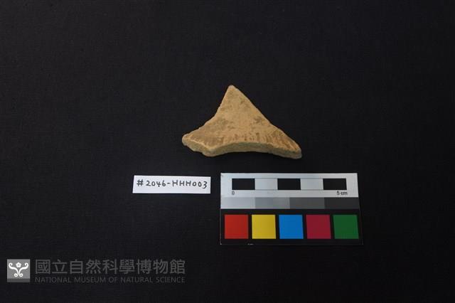 陶片藏品圖，第2張