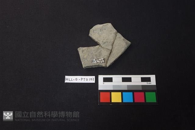 陶片藏品圖，第2張