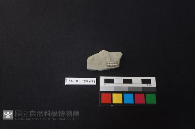 陶片藏品圖，第2張