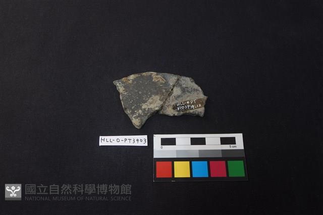 陶片藏品圖，第2張