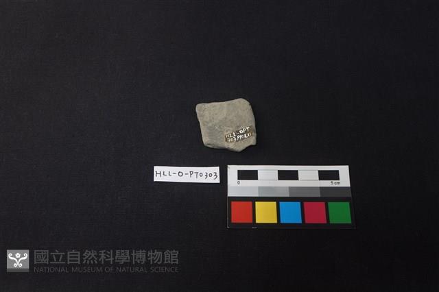 陶片藏品圖，第2張