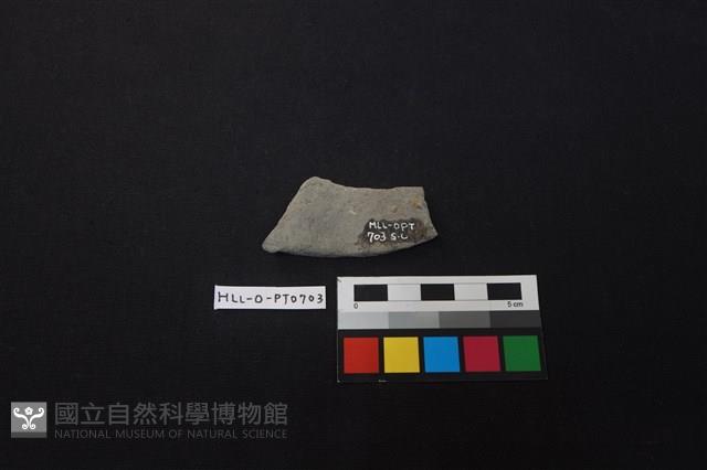 陶片藏品圖，第2張