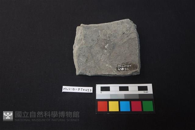 陶片藏品圖，第2張