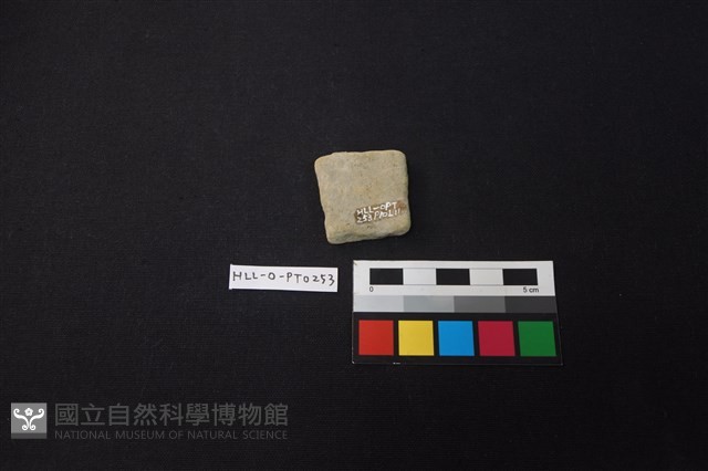 陶片藏品圖，第2張