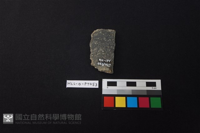 陶片藏品圖，第2張