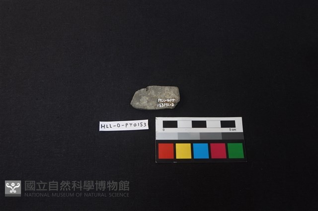 陶片藏品圖，第2張