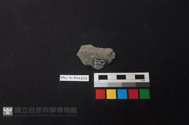 陶片藏品圖，第2張