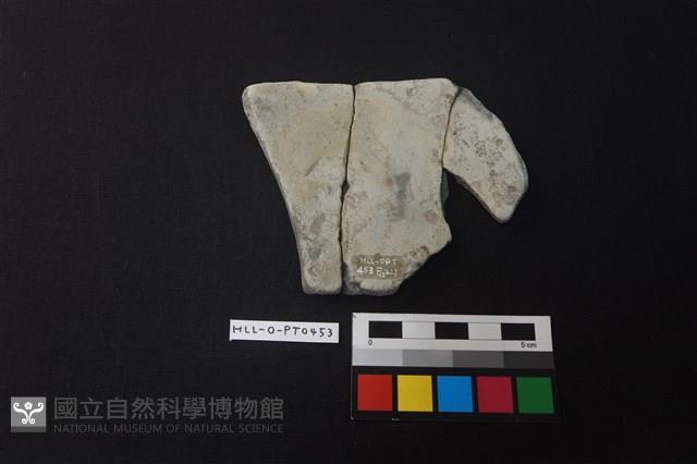 陶片藏品圖，第2張