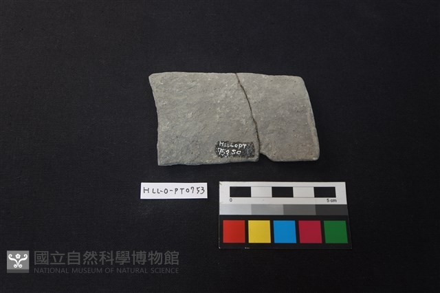陶片藏品圖，第2張