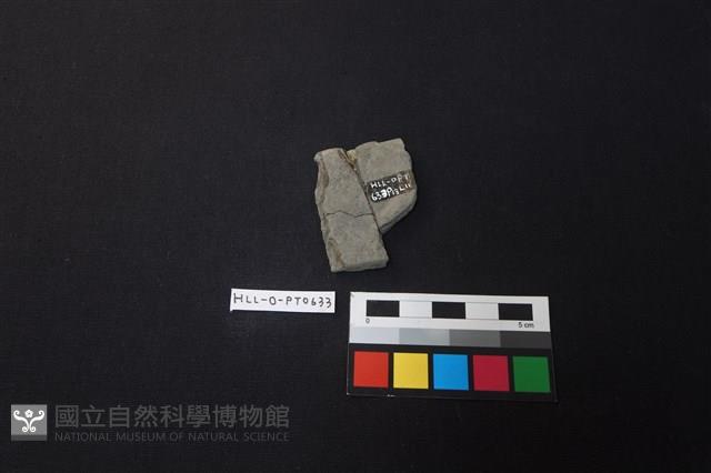 陶片藏品圖，第2張