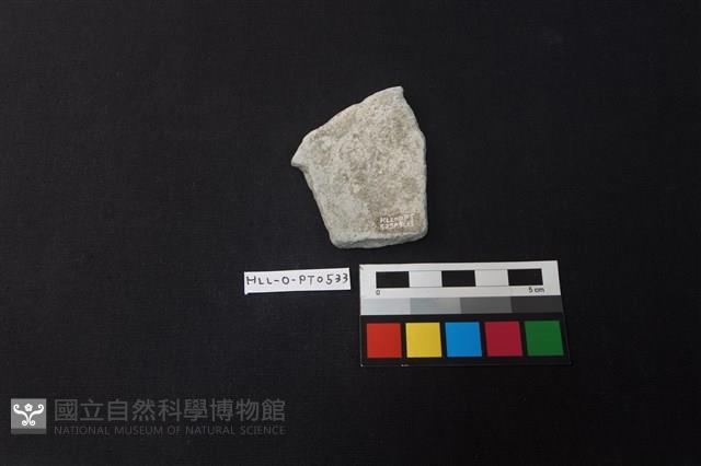 陶片藏品圖，第2張