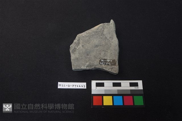 陶片藏品圖，第2張