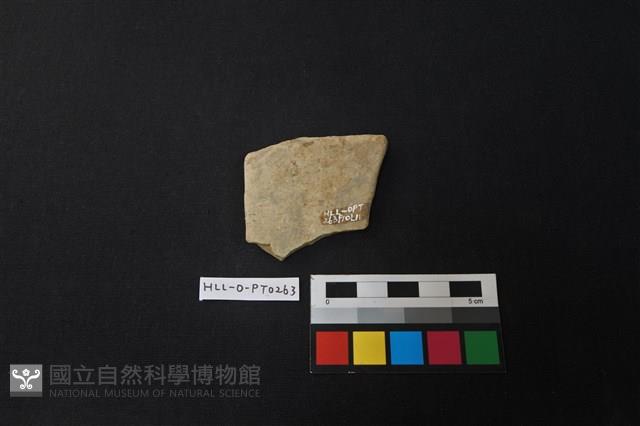 陶片藏品圖，第2張