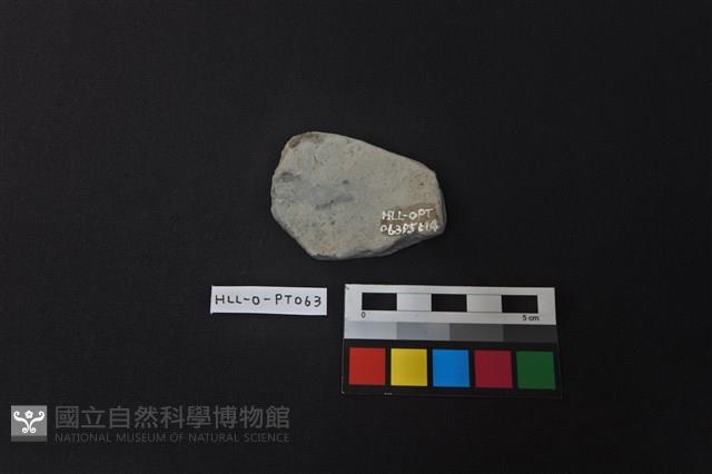 陶片藏品圖，第2張