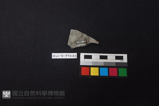 陶片藏品圖，第2張