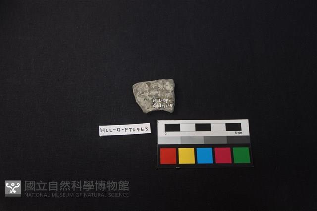 陶片藏品圖，第2張