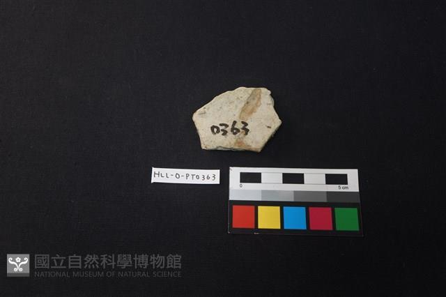 陶片藏品圖，第2張