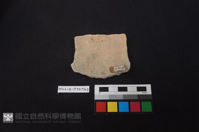 陶片藏品圖，第2張