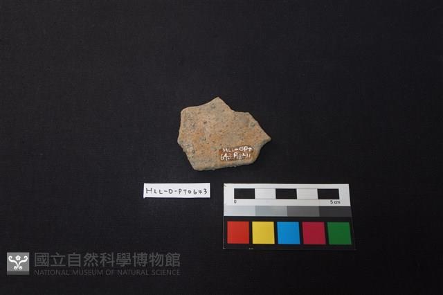 陶片藏品圖，第2張