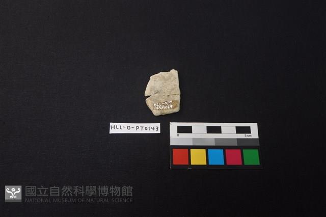 陶片藏品圖，第2張