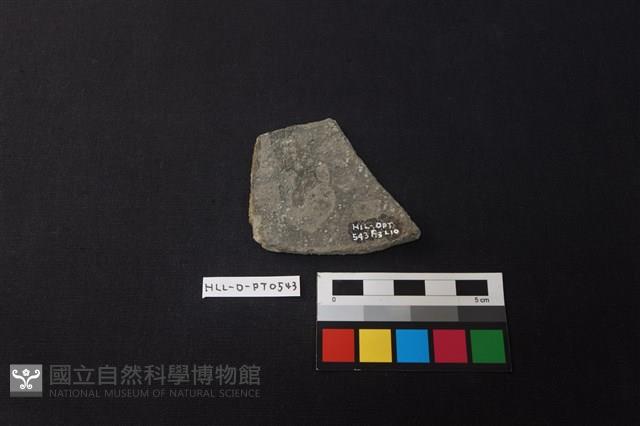 陶片藏品圖，第2張