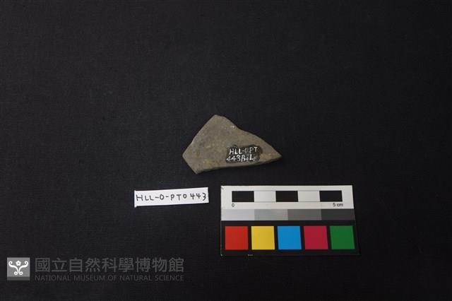 陶片藏品圖，第2張