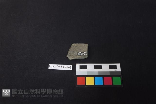 陶片藏品圖，第2張