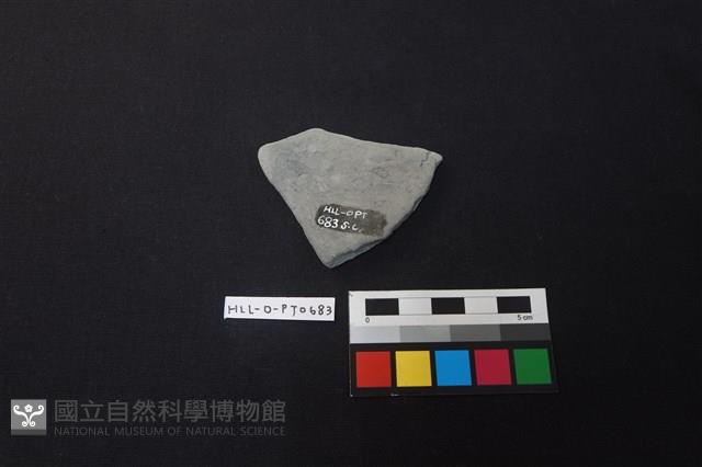 陶片藏品圖，第2張