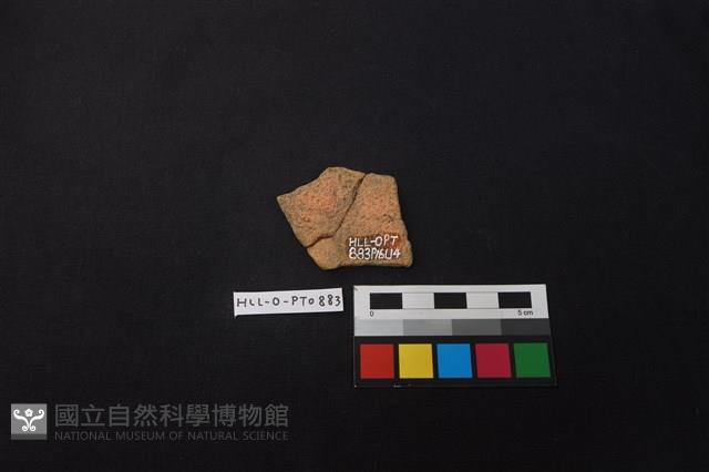 陶片藏品圖，第2張