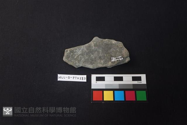 陶片藏品圖，第2張