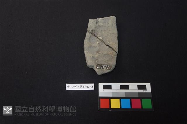 陶片藏品圖，第2張