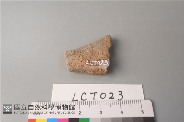 陶片藏品圖，第2張