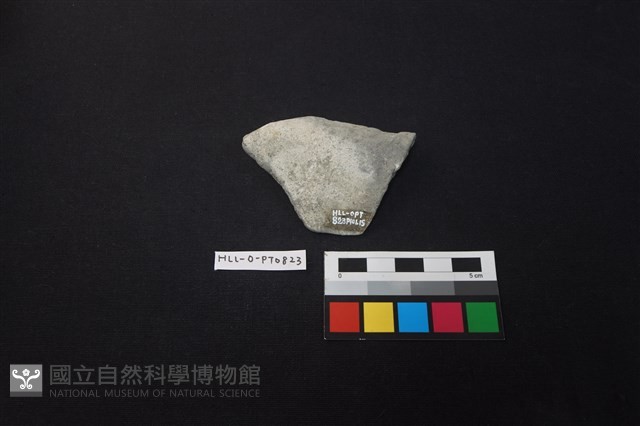 陶片藏品圖，第2張