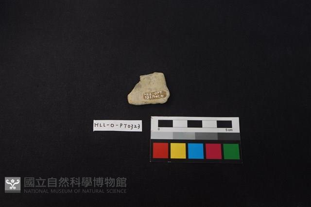 陶片藏品圖，第2張