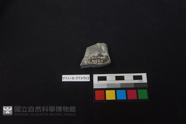 陶片藏品圖，第2張
