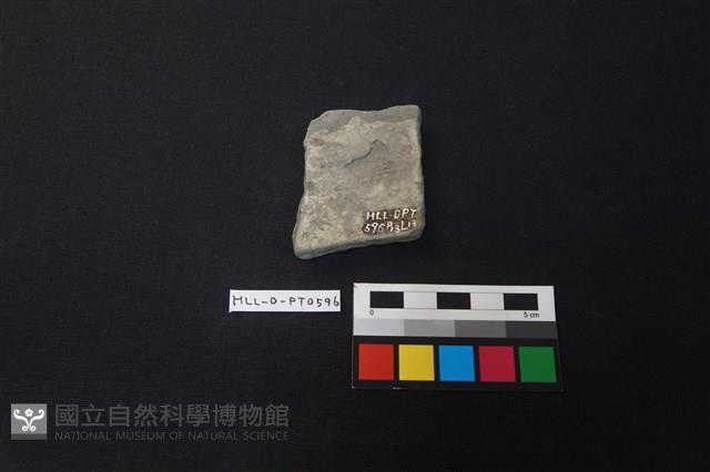 陶片藏品圖，第2張