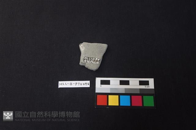 陶片藏品圖，第2張