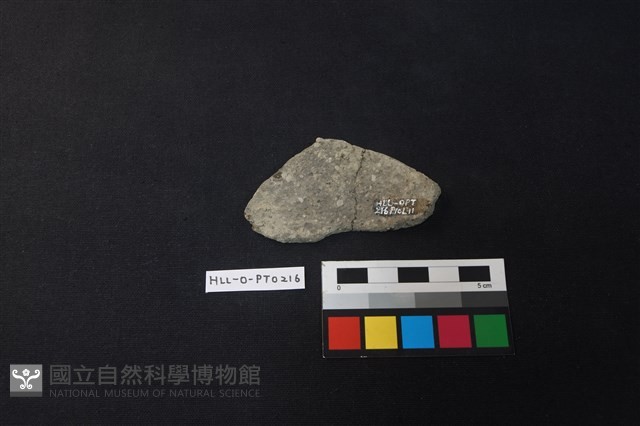 陶片藏品圖，第2張
