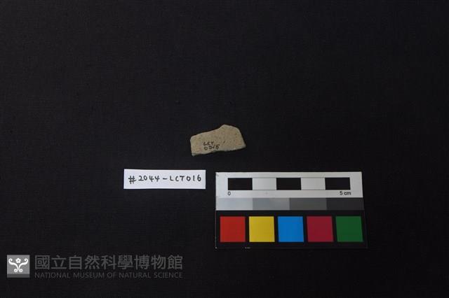 陶片藏品圖，第2張