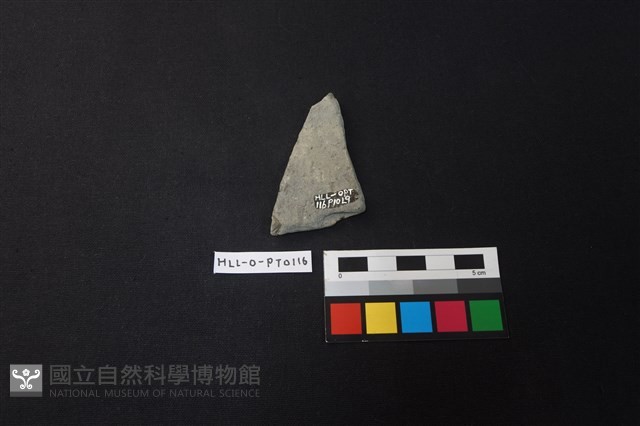 陶片藏品圖，第2張
