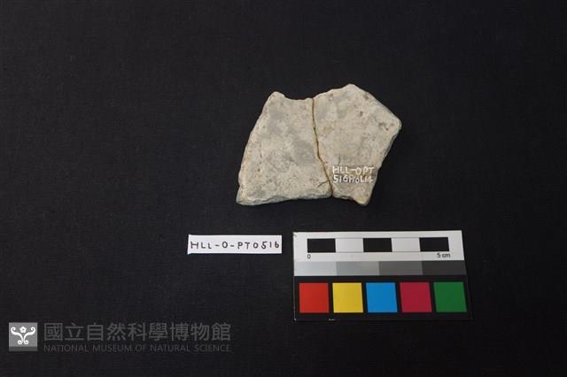 陶片藏品圖，第2張