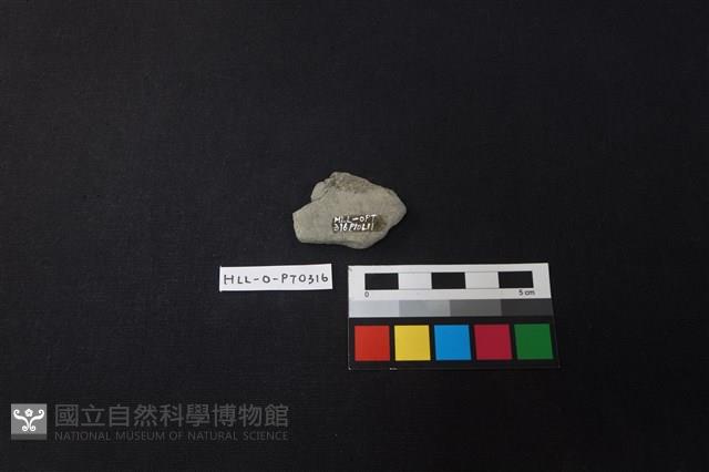 陶片藏品圖，第2張