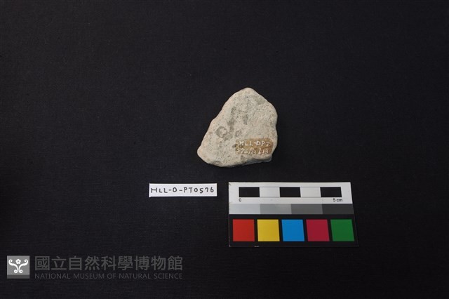 陶片藏品圖，第2張