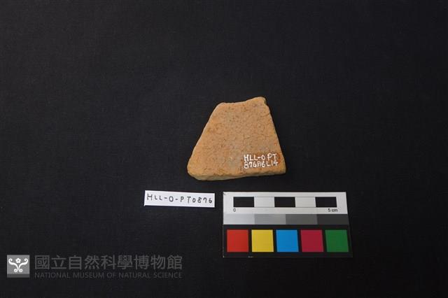 陶片藏品圖，第2張