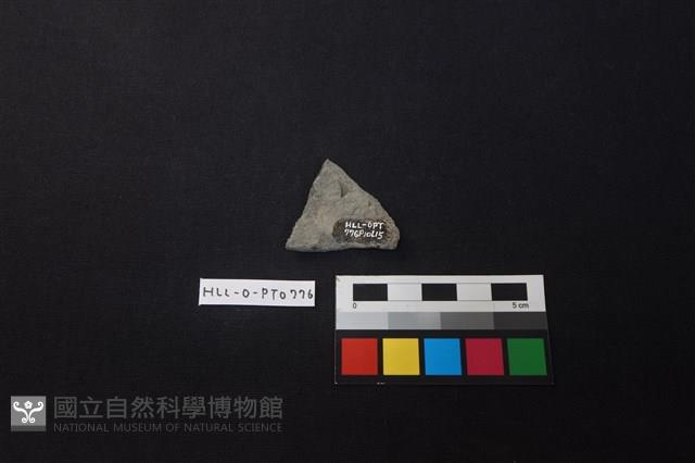 陶片藏品圖，第2張