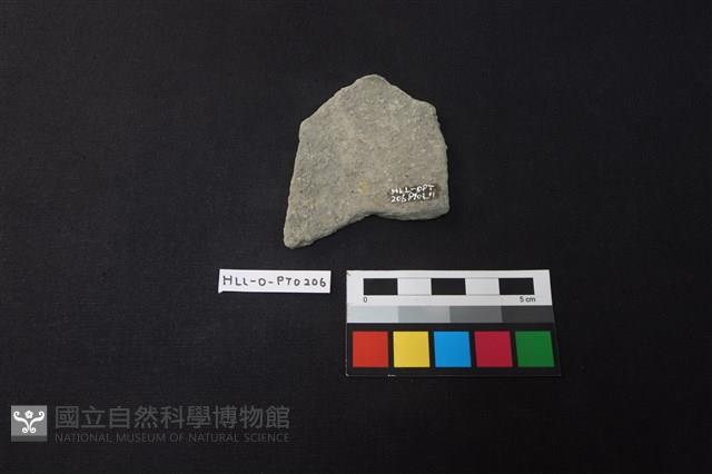 陶片藏品圖，第2張