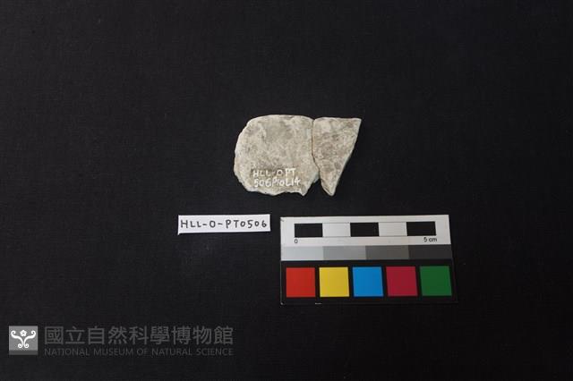 陶片藏品圖，第2張