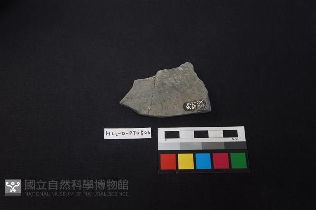 陶片藏品圖，第2張