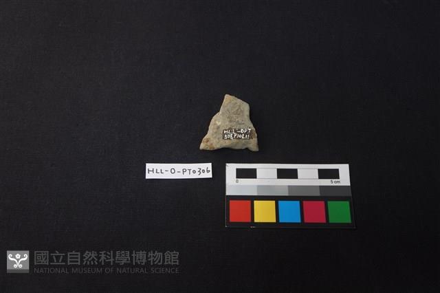 陶片藏品圖，第2張